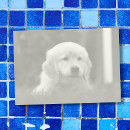 Suche nach auto post it Foto