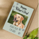 Suche nach cat dad karten Dog