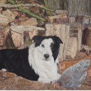 Suche nach collies puzzle Jede person