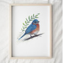 Suche nach bluebird poster Vogelmalerei