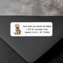 Suche nach goldendoodle Aquarell