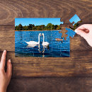 Suche nach schwan puzzle Fotografie