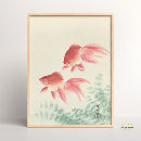Suche nach goldfische poster Jede person
