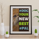 Suche nach spanier poster Hunde