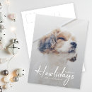 Suche nach hundeschlitten postkarten Für haustiere