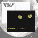 Suche nach schwarze katze mit gelben augen postkarten Katzenaugen