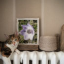 Suche nach anemonen poster Für alle