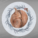 Suche nach rotes eichhörnchen aufkleber Weihnachten