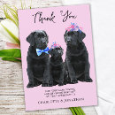 Suche nach rosa labrador karten Für alle