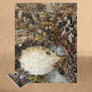 Suche nach meereswelt puzzle Jede person