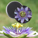 Suche nach botanik runde magnete Natur