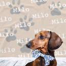 Suche nach kleiner hund decken Für haustiere