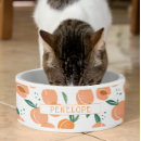 Suche nach näpfe Für haustiere