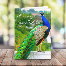 Suche nach blauer pfau karten Für alle