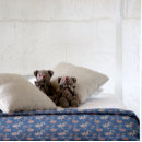 Suche nach blaue blumen fleecedecke Für sie/ihn