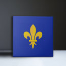 Suche nach fleur de lys fliesen Symbol