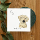 Suche nach gelbes labrador Welpe