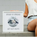 Suche nach katzenliebhaber poster Katzenfrau