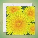 Suche nach löwenzahn kleine grußkarten Blume