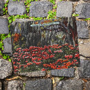 Suche nach azaleen postkarten Jede person