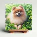 Suche nach grünes kleeblatt fliesen Tag der patristen