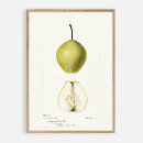 Suche nach vintage frucht poster Küchenmauer