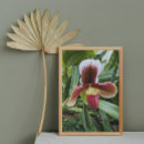 Suche nach rote orchidee poster Botanisch