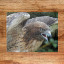 Suche nach schnabel puzzle Jede person