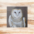 Suche nach stall fliesen Eule