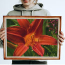 Suche nach taglilien poster Jede person