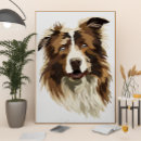 Suche nach border collie poster Hundefreund