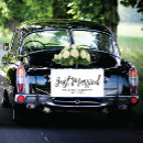Suche nach just married hochzeitsbanner Wegweiser
