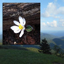 Suche nach gottes leinwandbilder Für alle