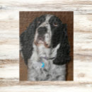 Suche nach springer spaniel puzzle Haustier