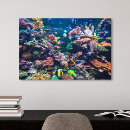 Suche nach malediven auf leinwandbilder Landschaft