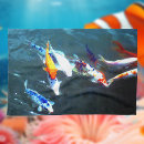 Suche nach koi geschirr tücher Karpfen