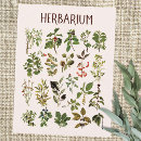 Suche nach pflanze postkarten Freund