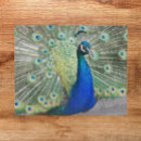 Suche nach peacock puzzle Bunt