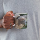 Suche nach buteo Jede person
