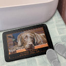 Suche nach labrador retriever Retriefe