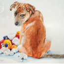 Suche nach teddy postkarten Jede person