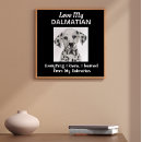 Suche nach dalmatiner poster Schwarz