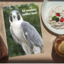 Suche nach wanderfalke postkarten Vögel