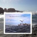 Suche nach die schädel postkarten Möwen