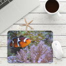 Suche nach anemone mousepads Natur