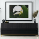 Suche nach weißer calla poster Für alle