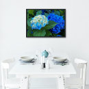 Suche nach hydrangea blume poster Foto