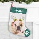 Suche nach welpe weihnachts strümpfe Hunde