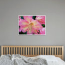 Suche nach rhododendron poster Botanisch