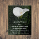 Suche nach calla puzzle Für alle